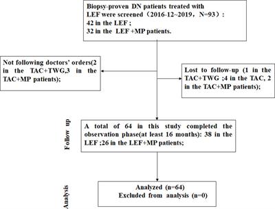 Retrospective analysis of leflunomide and low-dose methylprednisolone for the treatment of diabetic nephropathy combined with membranous nephropathy